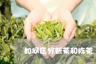 如何区分新茶和陈茶/2023041548473