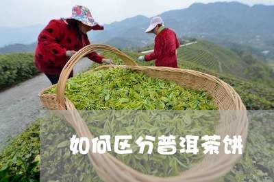 如何区分普洱茶饼/2023031682935