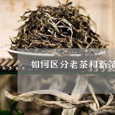 如何区分老茶和新茶/2023031957371