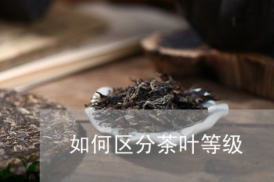 如何区分茶叶等级/2023032649693