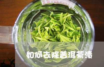 如何去除普洱茶渍/2023041019591