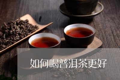 如何喝普洱茶更好/2023041300594