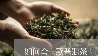 如何夸一款普洱茶/2023033080714