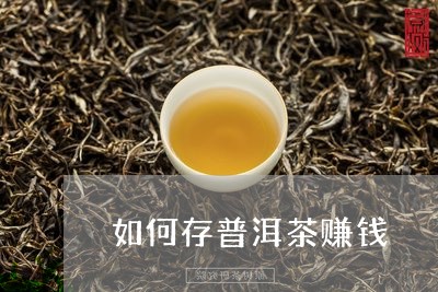 如何存普洱茶赚钱/2023040940504