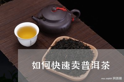 如何快速卖普洱茶/2023040925179