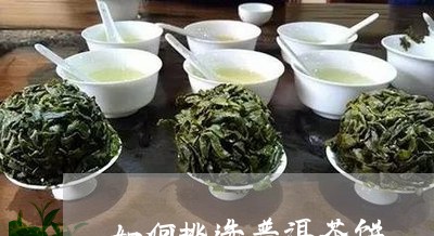 如何挑选普洱茶饼/2023031644158