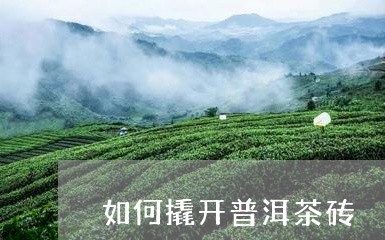 如何撬开普洱茶砖/2023041472794