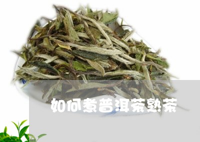 如何煮普洱茶熟茶/2023041340592