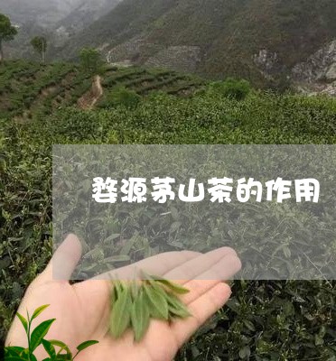 婺源茅山茶的作用/2023032492053