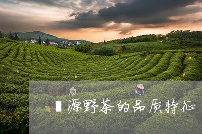 婺源野茶的品质特征/2023032184857