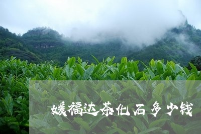 媛福达茶化石多少钱/2023032119573