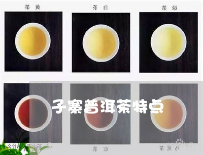 子寨普洱茶特点/2023041282948