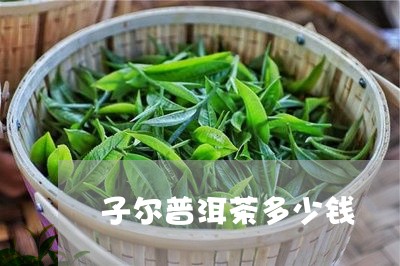 子尔普洱茶多少钱/2023033125049