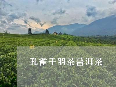 孔雀千羽茶普洱茶/2023041162726