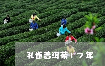 孔雀普洱茶17年/2023041063848