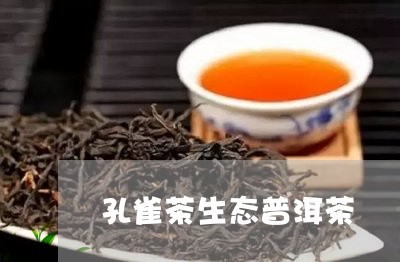 孔雀茶生态普洱茶/2023041024058