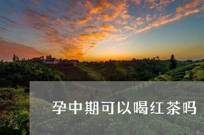 孕中期可以喝红茶吗/2023031936370