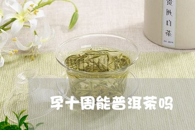 孕十周能普洱茶吗/2023033047581