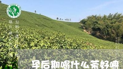 孕后期喝什么茶好嘛/2023041553160