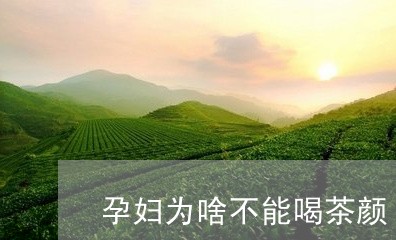 孕妇为啥不能喝茶颜/2023041681039