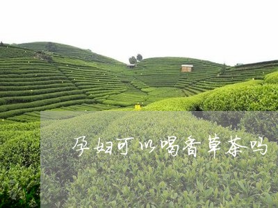 孕妇可以喝香草茶吗/2023041441702