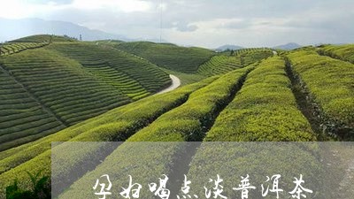 孕妇喝点淡普洱茶/2023041001592