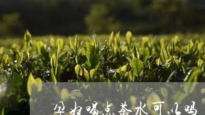 孕妇喝点茶水可以吗/2023041467491