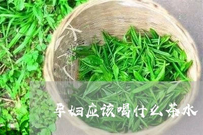 孕妇应该喝什么茶水/2023041551593