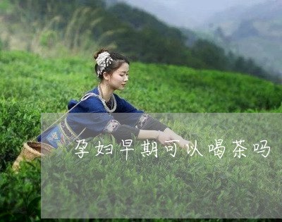 孕妇早期可以喝茶吗/2023032065249