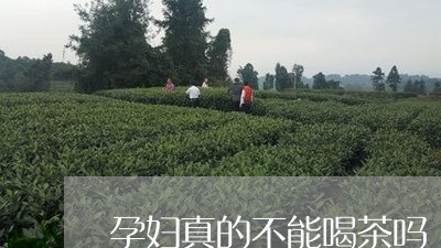 孕妇真的不能喝茶吗/2023041632925