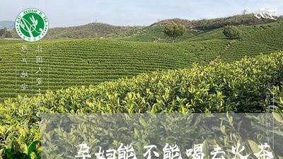 孕妇能不能喝去火茶/2023031839602