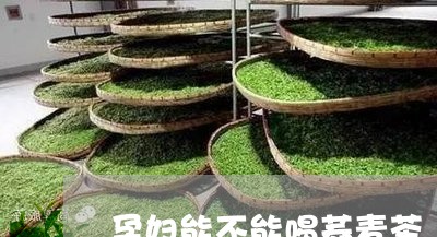 孕妇能不能喝荞麦茶/2023041451824