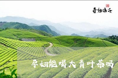 孕妇能喝大青叶茶吗/2023041430607