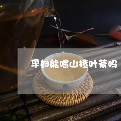 孕妇能喝山楂叶茶吗/2023041486058