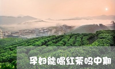 孕妇能喝红茶吗中期/2023031907382