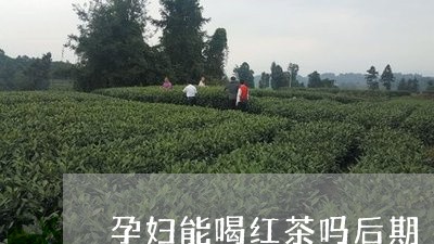 孕妇能喝红茶吗后期/2023031919694