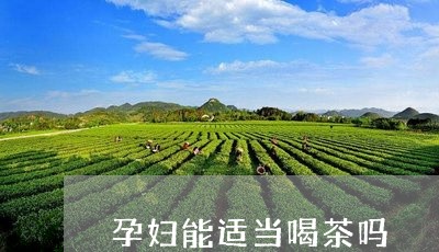 孕妇能适当喝茶吗/2023032484848