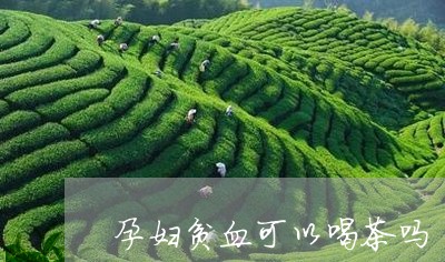 孕妇贫血可以喝茶吗/2023041615253