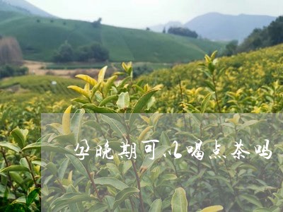 孕晚期可以喝点茶吗/2023031853693