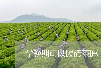 孕晚期可以喝砖茶吗/2023041426471