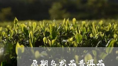 孕期乌龙茶普洱茶/2023041334697