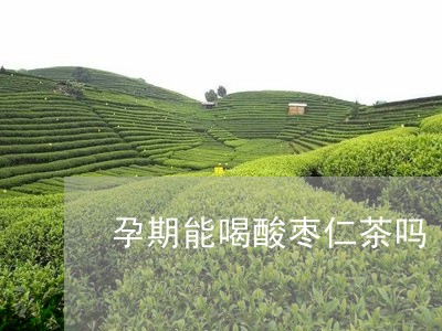 孕期能喝酸枣仁茶吗/2023031821706