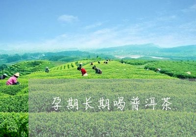 孕期长期喝普洱茶/2023041163947