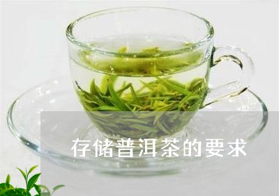 存储普洱茶的要求/2023041172814