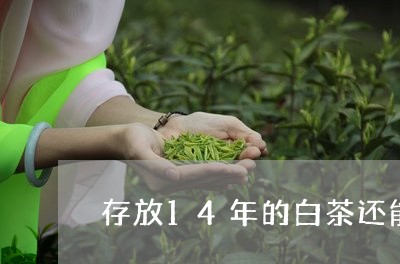 存放14年的白茶还能喝吗/2023033109472