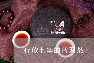 存放七年的普洱茶/2023033141593