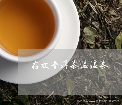 存放普洱茶温湿茶/2023041263816