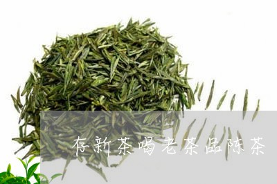 存新茶喝老茶品陈茶/2023041592715