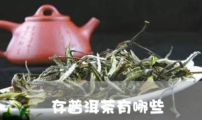 存普洱茶有哪些/2023040938150