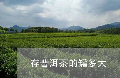 存普洱茶的罐多大/2023031699481